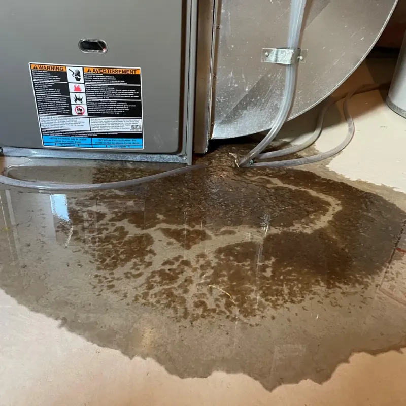 Appliance Leak Cleanup in Hobart, IN